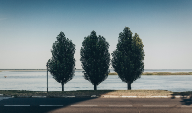 Top 3 Takeaways from MAU 2019
